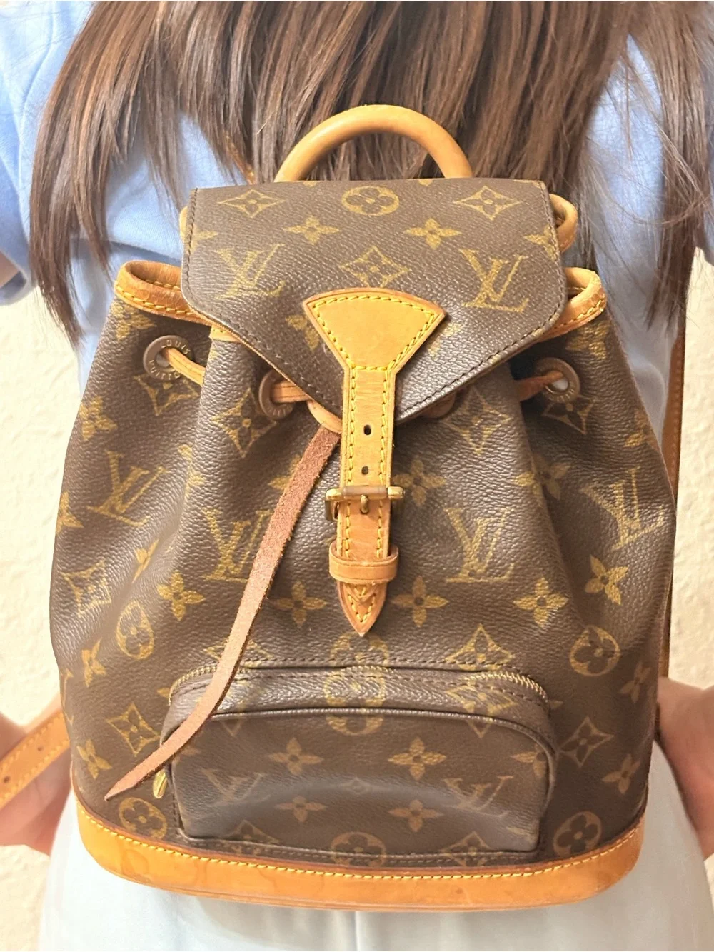 Louis Vuitton classic louis